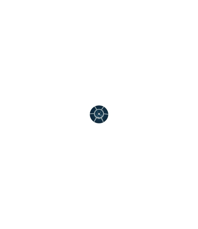 LEGO - Schotel 6 x 6 omgekeerd (radar) – massieve noppen met radiaal spaak­patroon (R2-D2 koepel) - Dark Blue | N