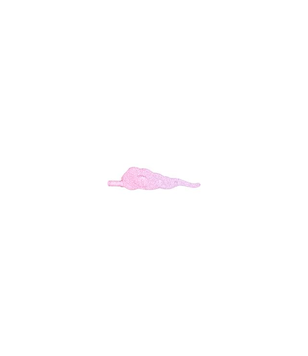 LEGO - Golfvorm recht met krullen en staafuiteinde (wolk / windvlaag) - Satin Trans-Dark Pink | N