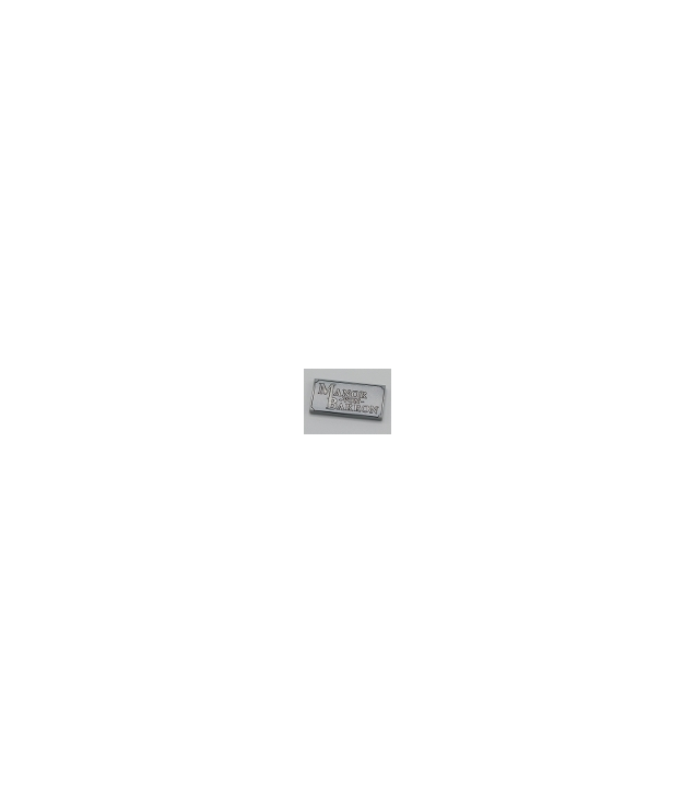 LEGO - Tegel 2 x 4 met 'Manor von Barron'-opdruk - Light Bluish Gray | N