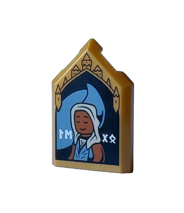 LEGO - Tegel, gemodificeerd 2 x 3 vijfhoekig met Harry Potter-portret van Edessa Sakndenberg - Pearl Gold | N