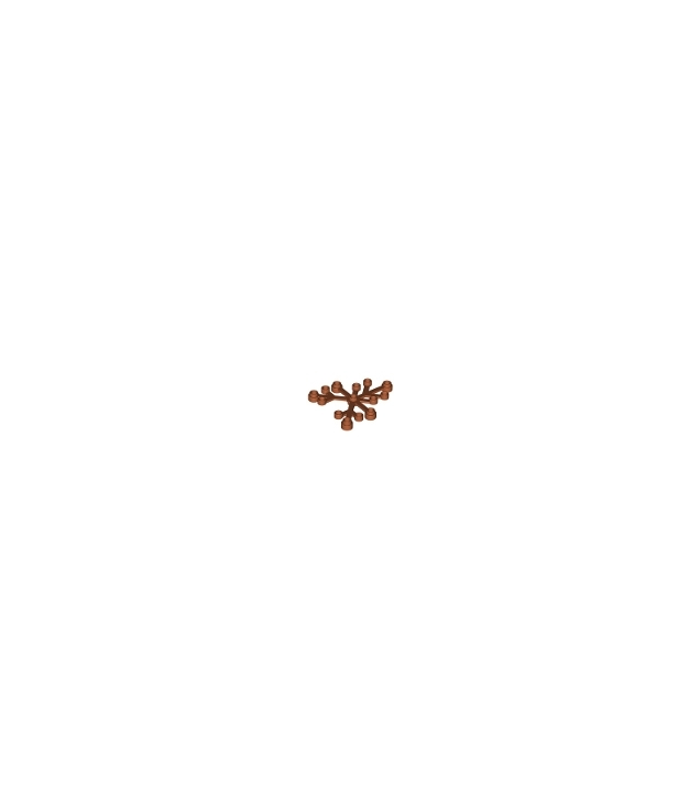 LEGO - Plantbladeren 6 x 5 - Dark Orange | N