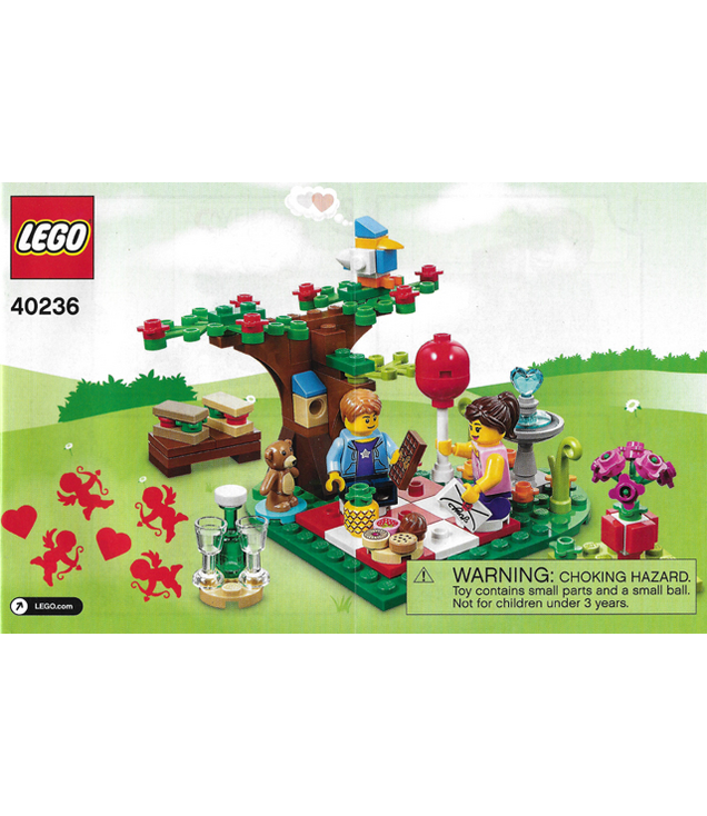 LEGO - Romantische Valentijnspicknick-Instructieboek - (Not Applicable) | N