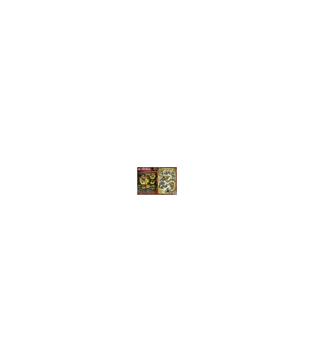 LEGO - NINJAGO Schedeldungeon spelbord - (Not Applicable) | N