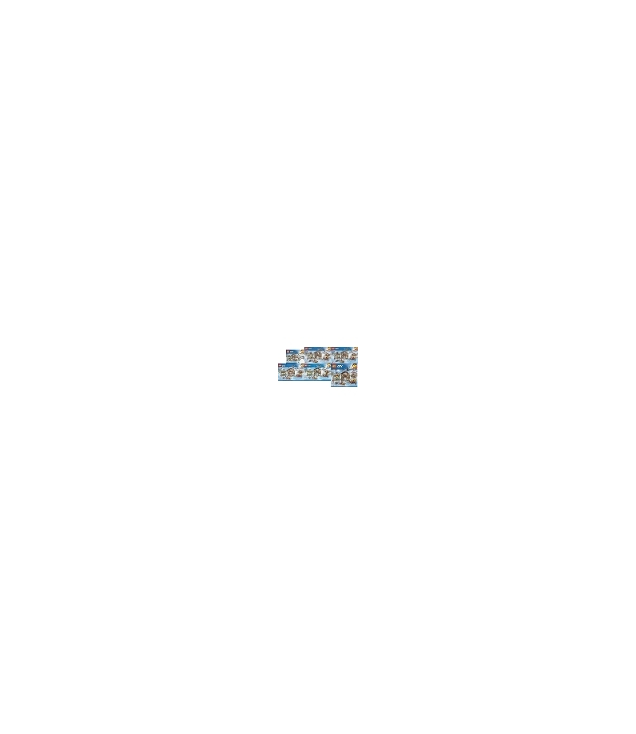 LEGO - Skioord-Instructieboek - (Not Applicable) | N