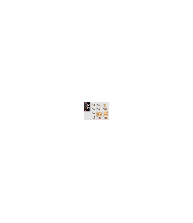 LEGO - Poe Damerons X-wing jager – mini polybag-Instructieboek - | N