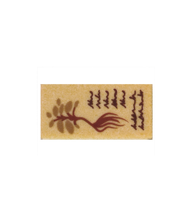  - Tegel 1 x 2 met roodbruine tekst en plantenpatroon - Tan | N