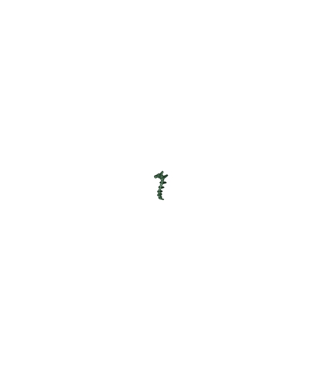 LEGO - Plant, zeewier / stekelig aanhangsel / Bionicle-ruggengraat - Dark Green | N