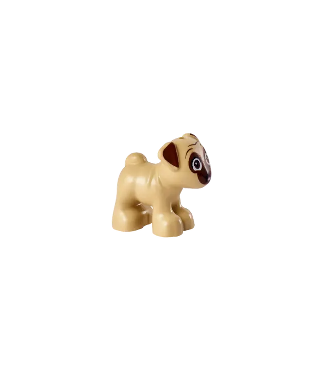  - Hond, Friends, mopshond staand met roodbruine snuit, oren en ogen naar voren, felroze tong­patroon (Dango) - Tan | N