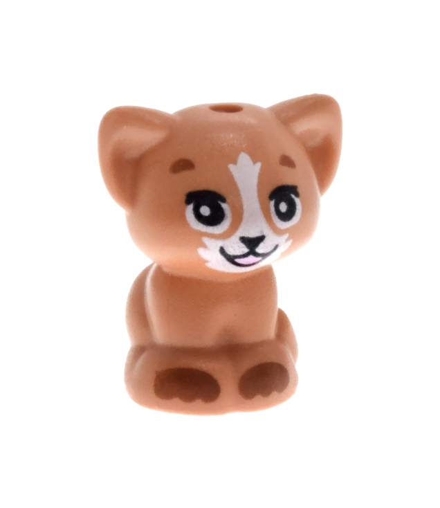  - Kat, Friends-stijl, kitten zittend met zwarte ogen, neus en mond, felroze tong, witte snuit en donkeroranje poten­patroon (Nugget) - Nougat | N
