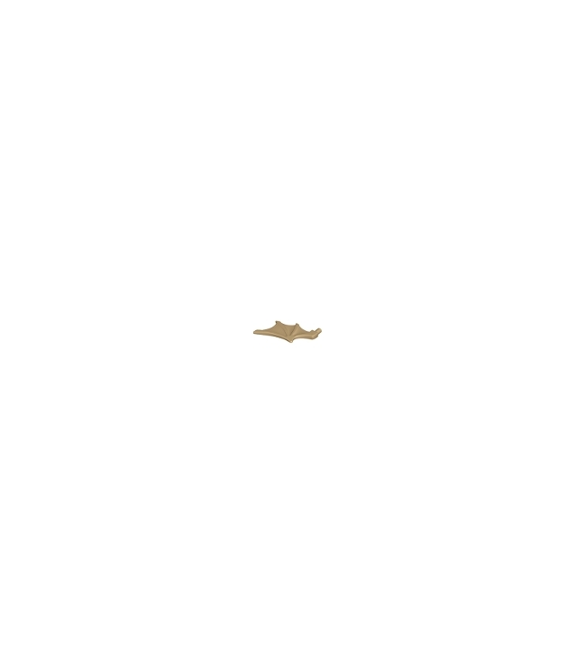 LEGO - Minifiguurvleugel vleermuisstijl - Dark Tan | N
